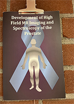 ISBN: 9789039360323 - Title: Development of High Field MR Imaging and Spectroscopy Techniques of the Prostate